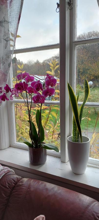 Pilane B&B Langekarr Bagian luar foto