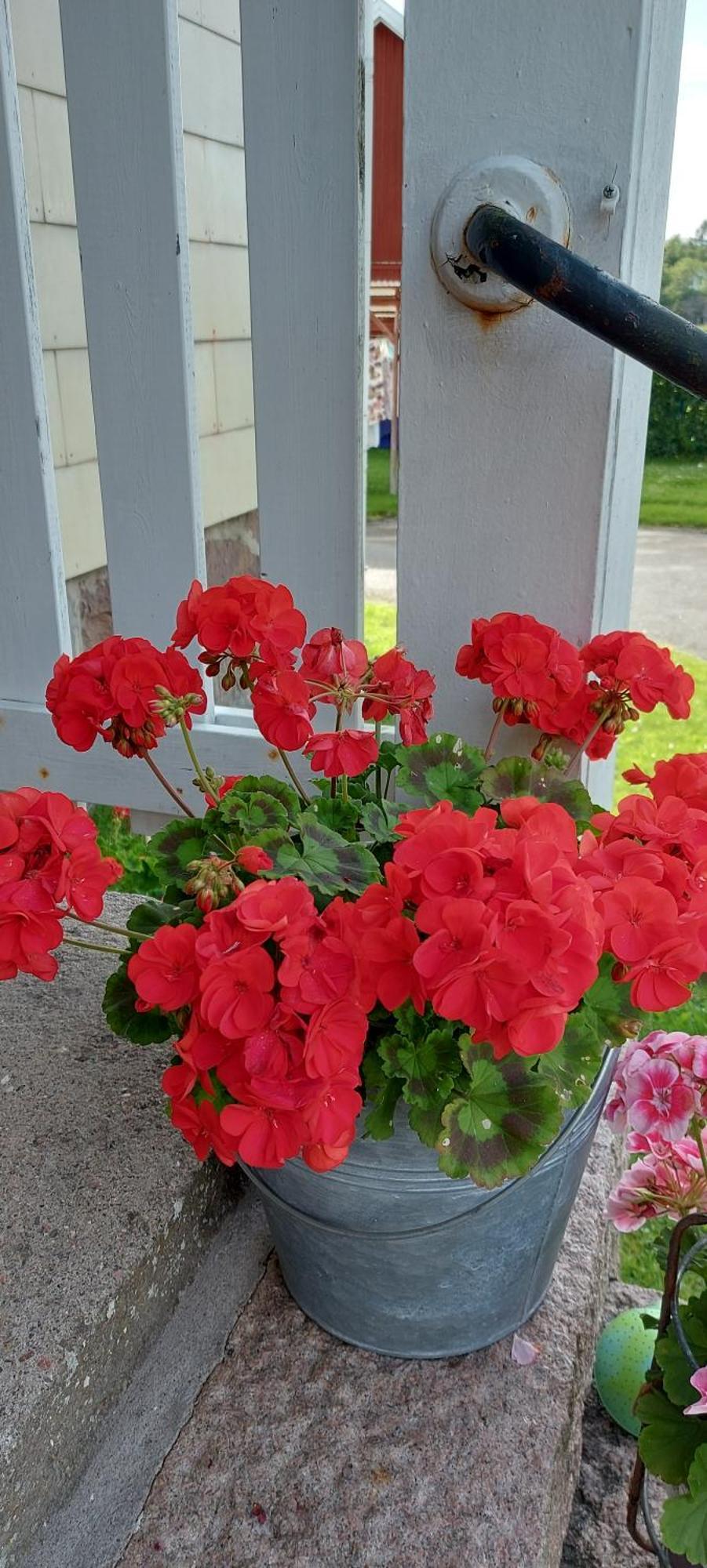 Pilane B&B Langekarr Bagian luar foto